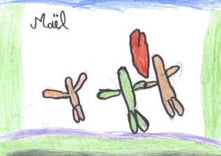 Maël