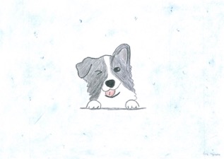 Evi