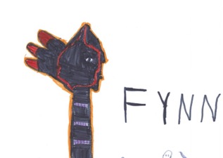 Fynn
