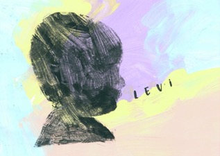 Levi Briers